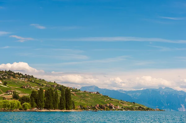 Summer landscape of Lake Geneva, Lavaux vineyards and Alps, Switzerland — Stockfoto