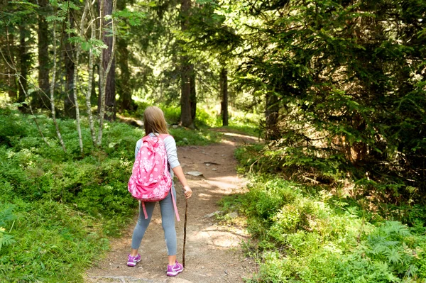 Little hiker girl in forest. Photo from Champex-Lac, Valais, swiss Alps, back view — 图库照片