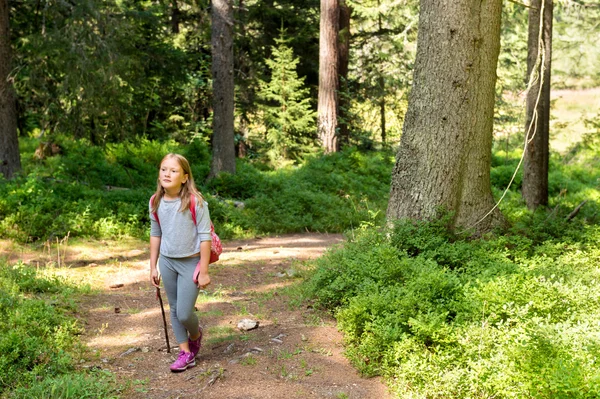 Dziewczynka turysta w lesie. Zdjęcie od Champex-Lac, Valais, szwajcarski Alpy — Zdjęcie stockowe