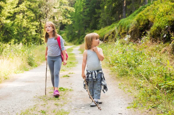 Два симпатичных ребенка, гуляющих в лесу — стоковое фото