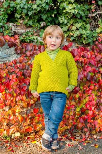 Autumn portrait of adorable toddler boy — Stok fotoğraf