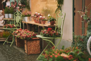 Yılbaşı bitkileri, dekorasyonu, Noel alışverişi