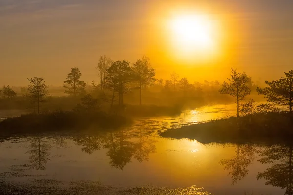 Foggy morning at Yelnya — Stock Photo, Image