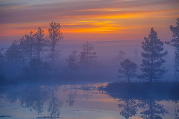 Nebliger Morgen im Yelnya-Sumpf — Stockfoto