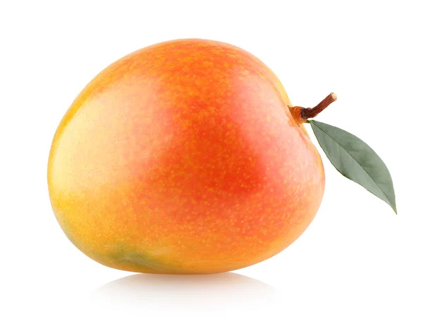 Zralé mango izolované — Stock fotografie