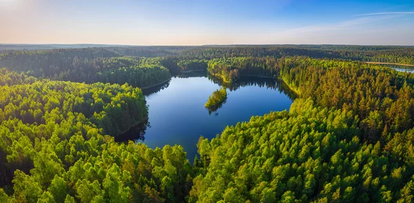 Foresta lago a forma di cuore — Foto Stock
