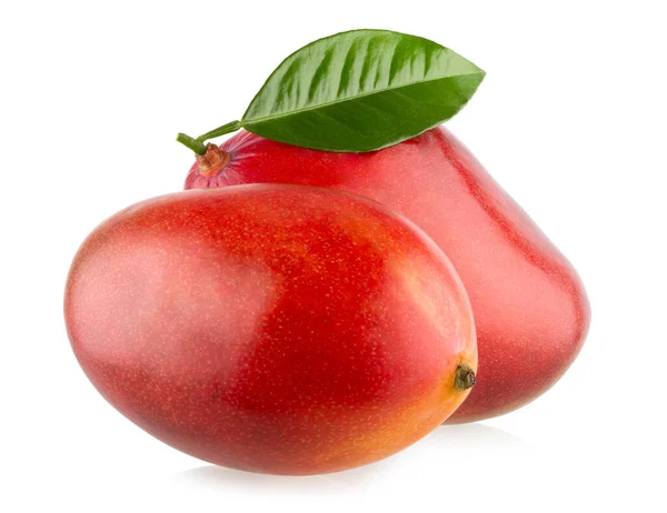 Čerstvé Mango Listem Izolované Bílém Pozadí Výstřižkem Cesta — Stock fotografie