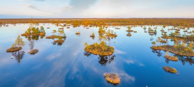 Antik bataklık Yelnya, Belarus - Avrupa 'nın en büyük yükseltilmiş bataklıklarından biri