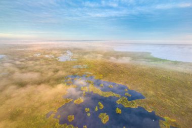 Antik bataklık Yelnya, Belarus - Avrupa 'nın en büyük yükseltilmiş bataklıklarından biri