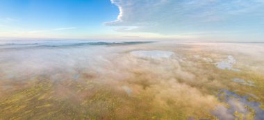 Antik bataklık Yelnya, Belarus - Avrupa 'nın en büyük yükseltilmiş bataklıklarından biri