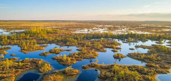 Altes Sumpfgebiet Jelnja Weißrussland Eines Der Größten Hochmoore Europas — Stockfoto