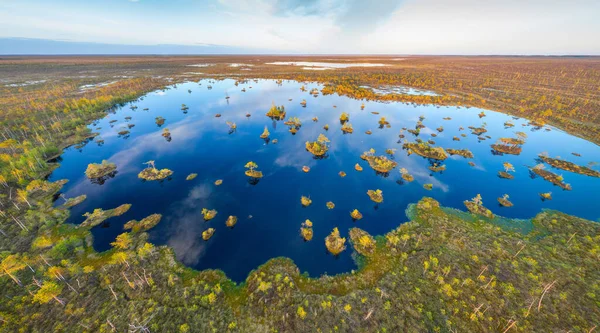 Altes Sumpfgebiet Jelnja Weißrussland Eines Der Größten Hochmoore Europas — Stockfoto
