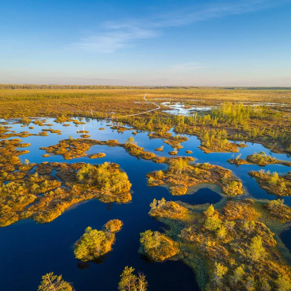 Altes Sumpfgebiet Jelnja Weißrussland Eines Der Größten Hochmoore Europas — Stockfoto