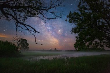Ulusal Park Prypiacki, Belarus 'ta yıldızlı gece