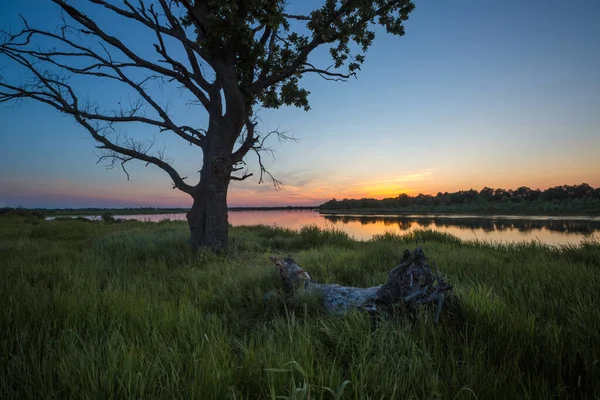 Vacker Kväll Vid Flodslätten Floden Prypiac — Stockfoto