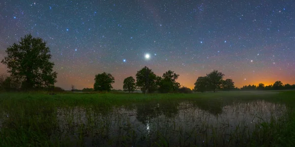 Noche Estrellada Parque Nacional Prypiacki Bielorrusia — Foto de Stock