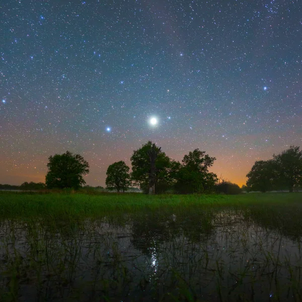 Noche Estrellada Parque Nacional Prypiacki Bielorrusia — Foto de Stock