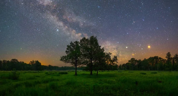 Noapte Înstelată Parcul Național Prypiacki Belarus — Fotografie, imagine de stoc