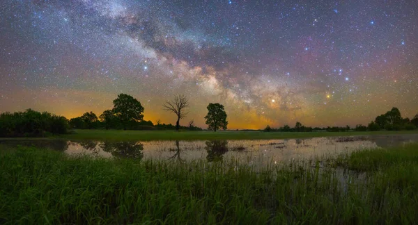 Noapte Înstelată Parcul Național Prypiacki Belarus — Fotografie, imagine de stoc