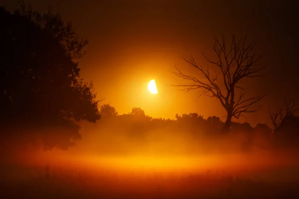 Salida Luna Parque Nacional Prypiacki Bielorrusia Imagen de stock