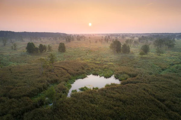 Reserva Natural Bosque Naliboki Belarús — Foto de Stock