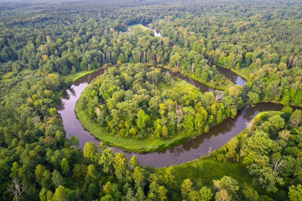 Ποταμός West Biarezina Στο Δάσος Naliboki Εικόνα Αρχείου
