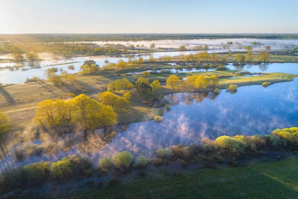 Floodplain Реки Prypiac Prypiat Утром Стоковая Картинка