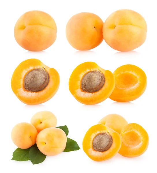 6 изображений абрикоса — стоковое фото