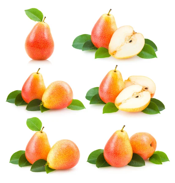 6 pear images — Stock Photo, Image