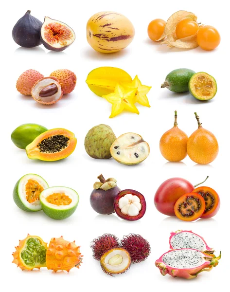 Exotic fruit collection — Stock Photo, Image