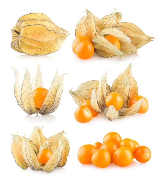 Conjunto de 6 imagens de physalis — Fotografia de Stock