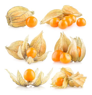 6 physalis kümesi