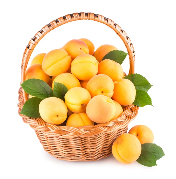 Fresh apricots in a basket — Stock Photo, Image