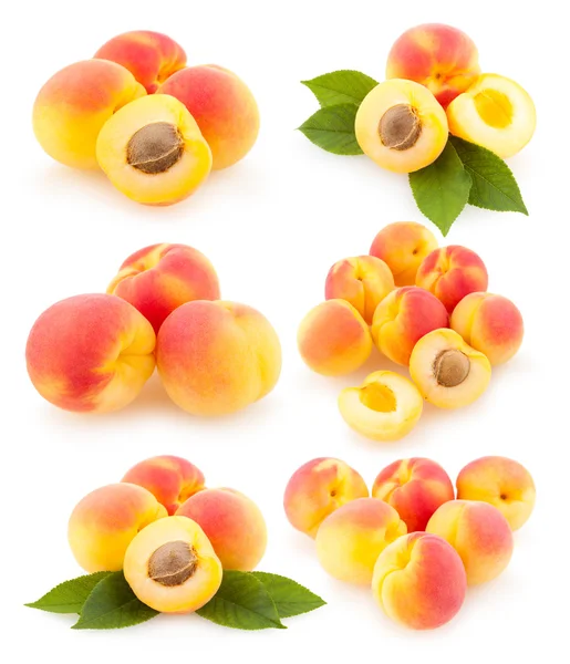 Samling av aprikoser — Stockfoto