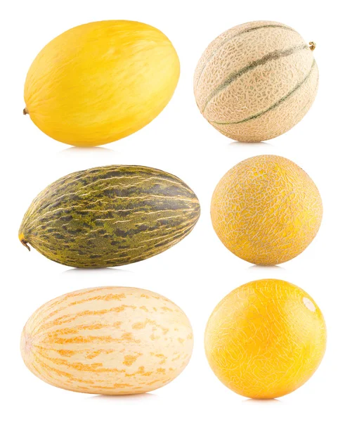 Samling av 6 olika melon — Stockfoto