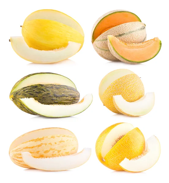 Samling av 6 olika melon — Stockfoto