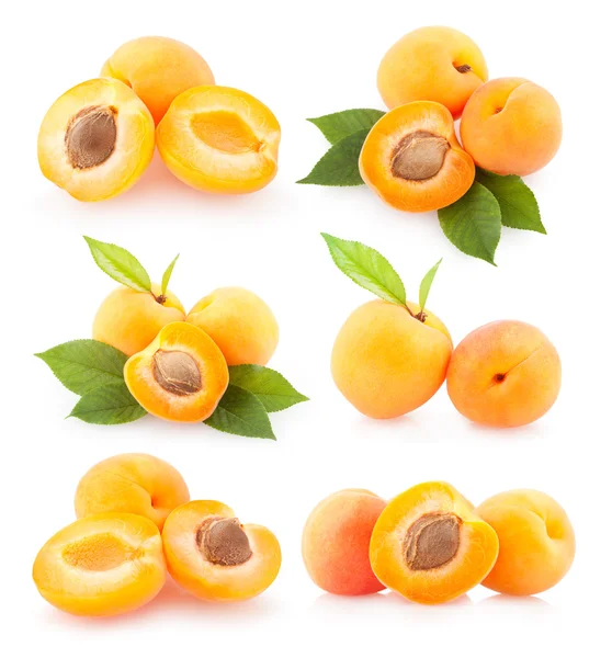 Sada 6 meruňky obrazů — Stock fotografie