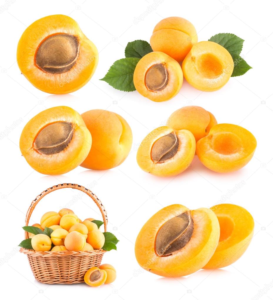 Set of 6 apricots images