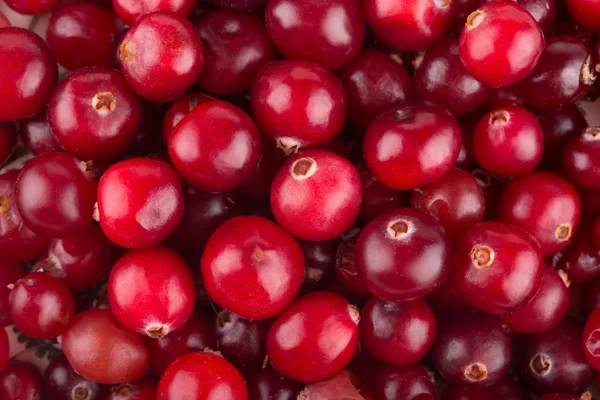 Фон червоні ягоди консервовані — стокове фото