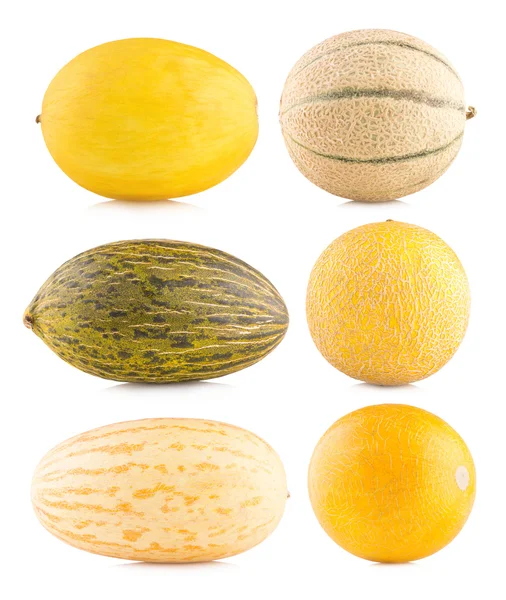 Diferentes imágenes de melón — Foto de Stock