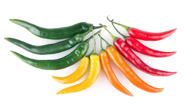 Pimentas quentes coloridas — Fotografia de Stock