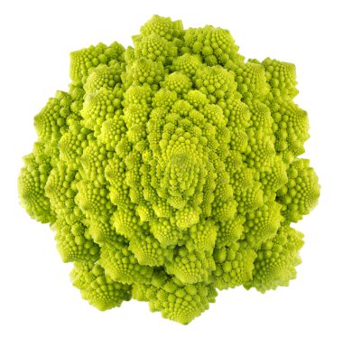 Romanesco broccoli cabage clipart