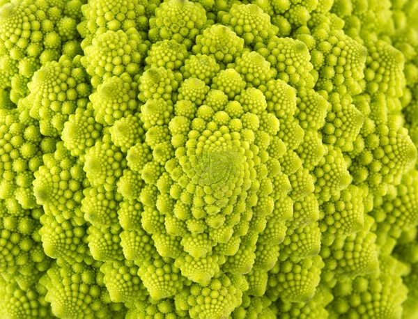 Romanesco brokuły rosnący — Zdjęcie stockowe