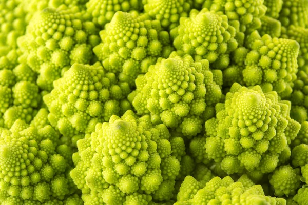 Couve de brócolis Romanesco — Fotografia de Stock