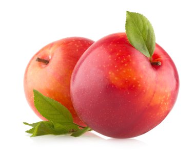 Taze kırmızı erikler.