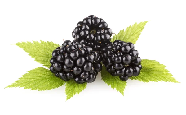Fresh blackberries with leaves — Stock Photo, Image