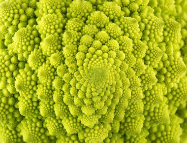 Bir romanesco brokoli