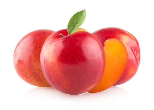 Red plums on white background — Stock Photo, Image