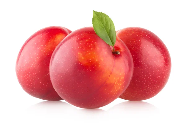 Red plums on white background — Stock Photo, Image