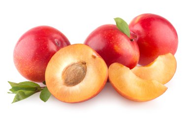 kırmızı olgun erikler